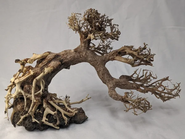 Aquarium Bonsai Driftwood Tree