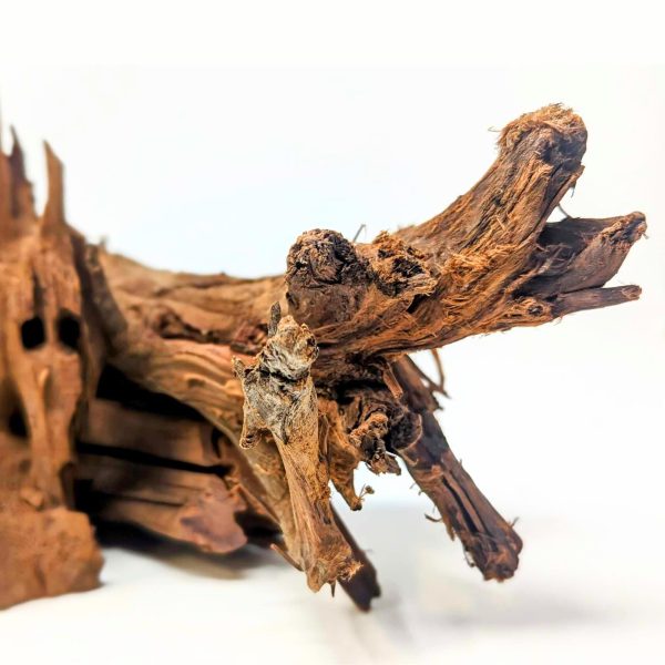 Malaysian Driftwood Pieces, Sold by the Pound