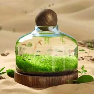 Complete Set Of Eco-Water Grass Tank